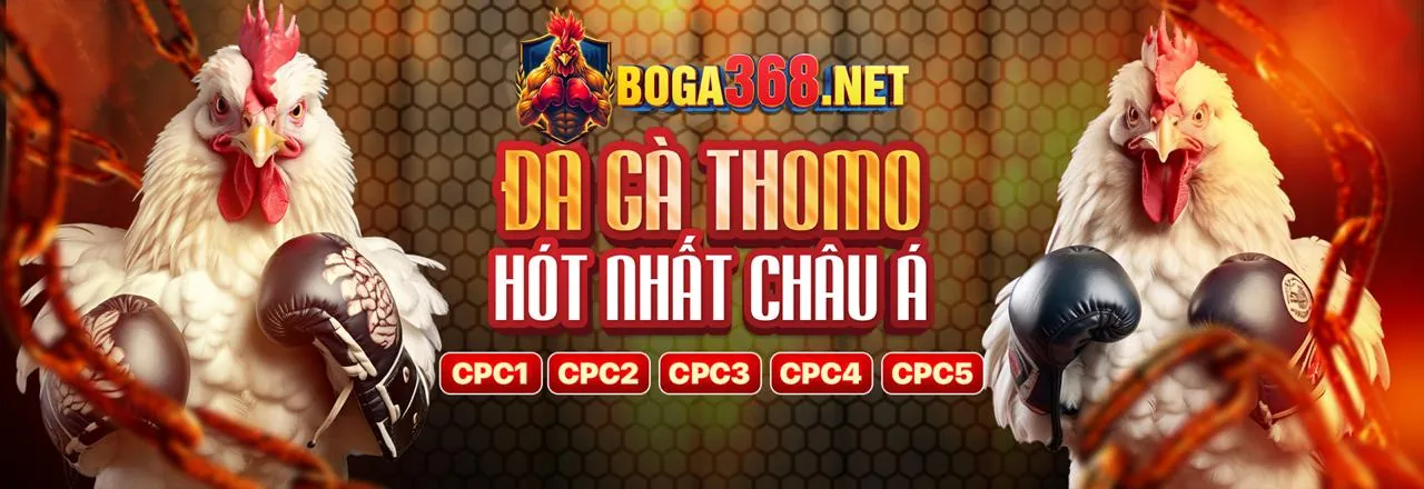 Hình ảnh Đá Gà kịch tính tại 77win APK