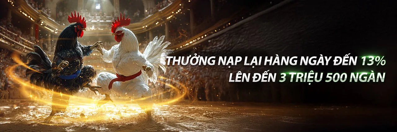 Giao diện ứng dụng 77win APK trên điện thoại